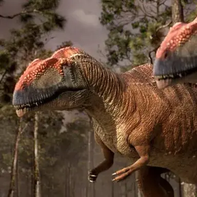 Profile image of 마푸