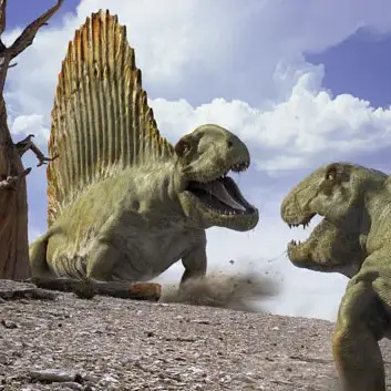 Profile image of 디메트