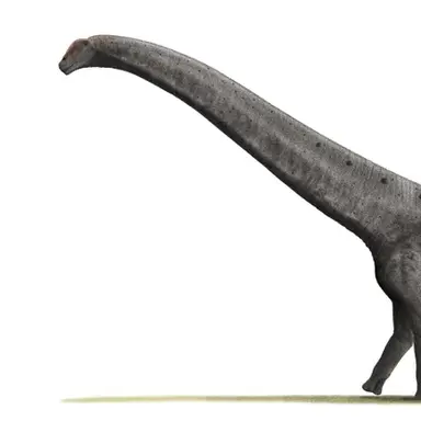 Profile image of 아르겐