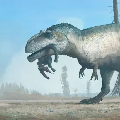 Profile image of 기가노토