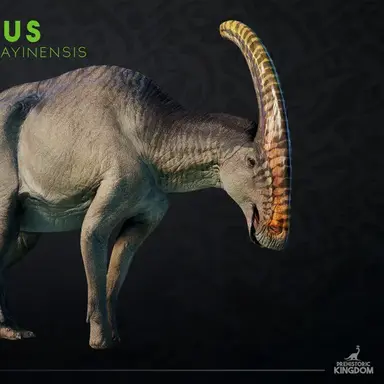 Profile image of 파라