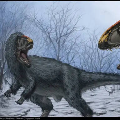 Profile image of 유티