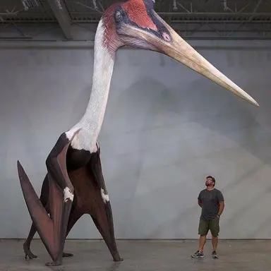 Profile image of 케찰코