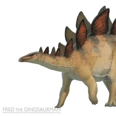 Profile image of 스테고