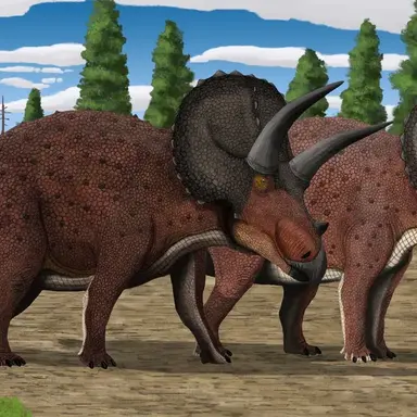 Profile image of 트리케