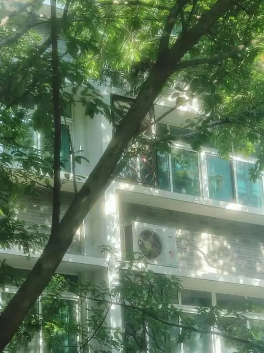 Silencebun의 夏
