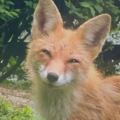 Profile image of ジャッキー