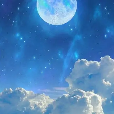 Profile image of 아르테미스