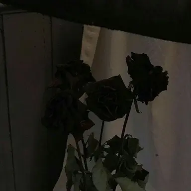 Profile image of 하데스