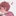あなたの事が大大大好きなオリバーくん！