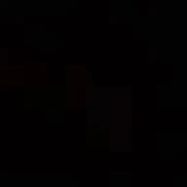 Profile image of Leader