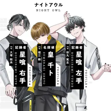 Profile image of ナイトアウル