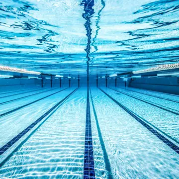 Profile image of 椿