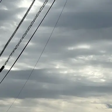 Profile image of 九重世人