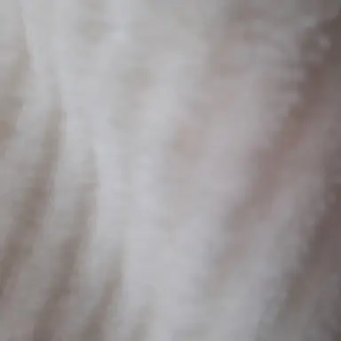 Profile image of 권지용