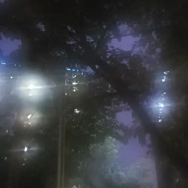 Profile image of 각별