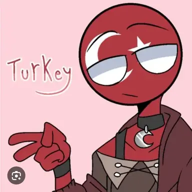 Profile image of 터키