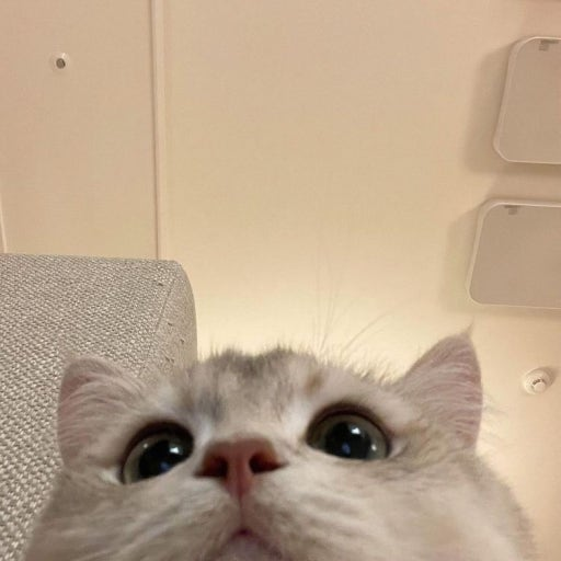 류이강 대표 이미지