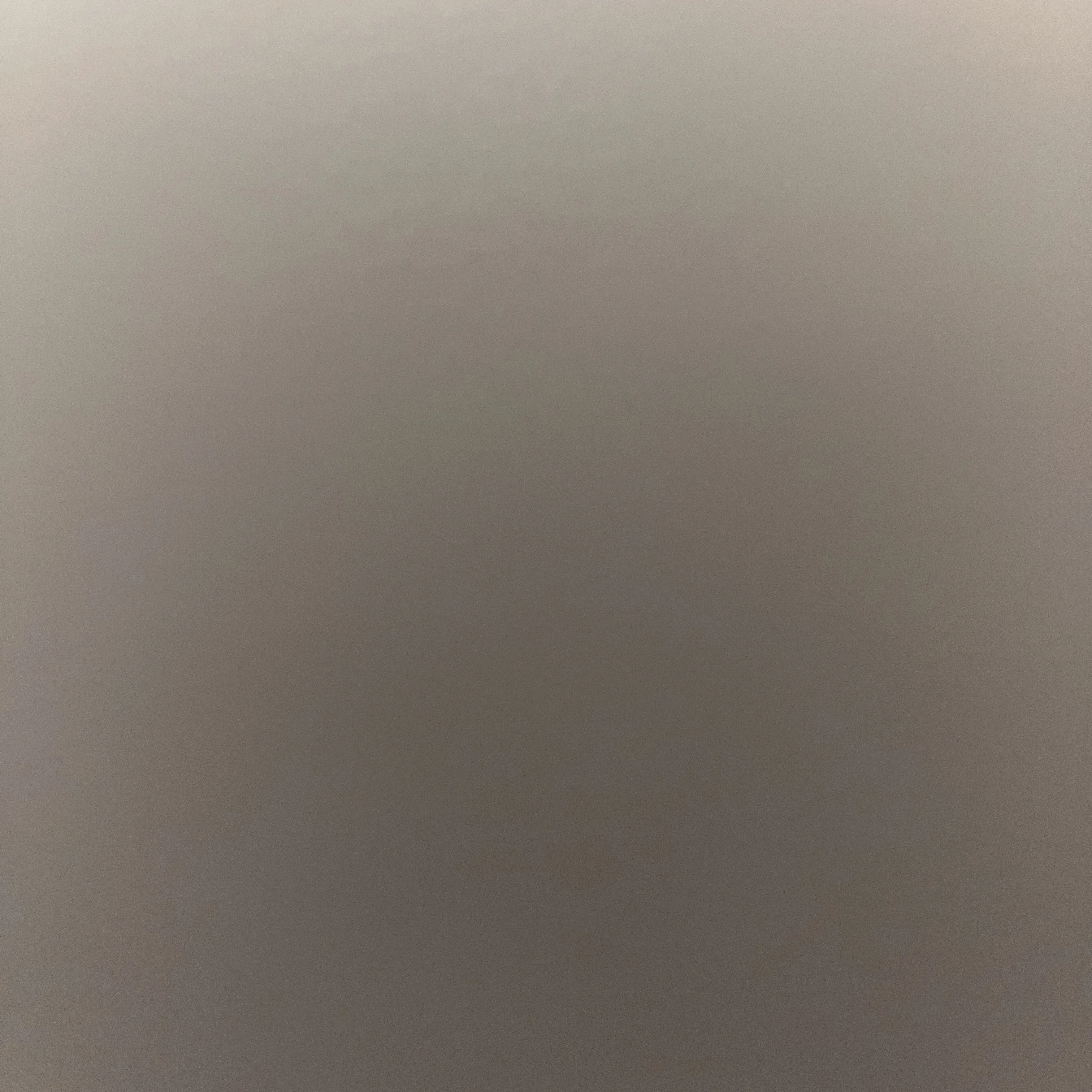 최이현