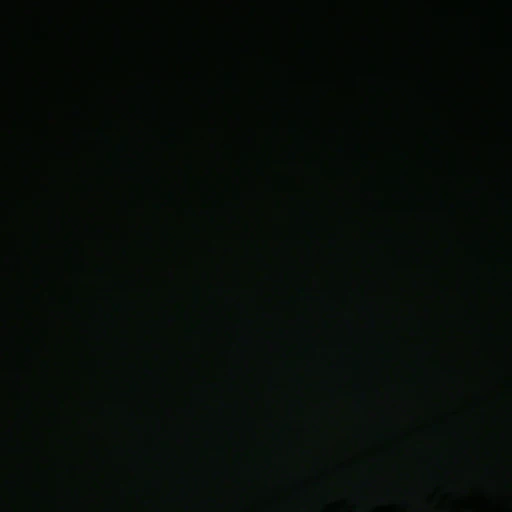 김믽규
