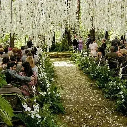 FrayedPanel7253의 Twilight saga RPG