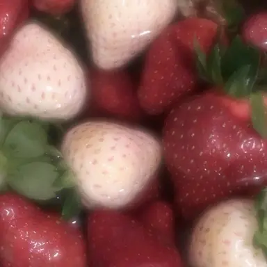 Profile image of 여우