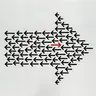 Profile image of 카마네