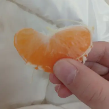 Profile image of 멜로우