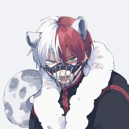 토도로키 쇼토