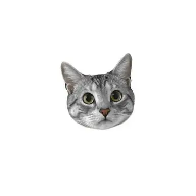Profile image of チハヤ