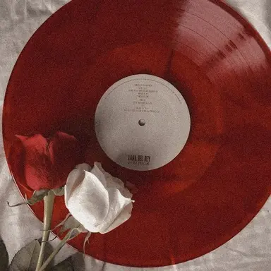 Profile image of 감제이