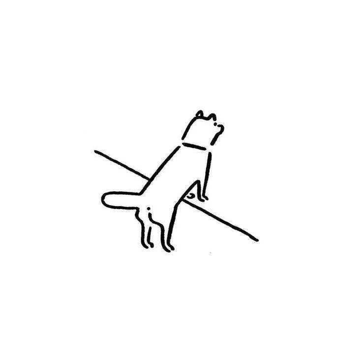 キムミ