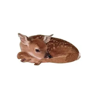 Profile image of シュア