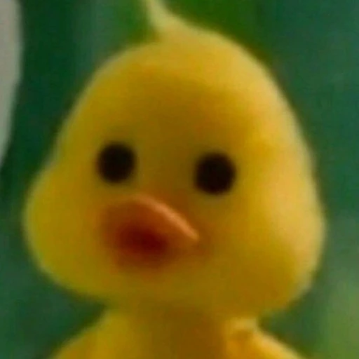 류태민