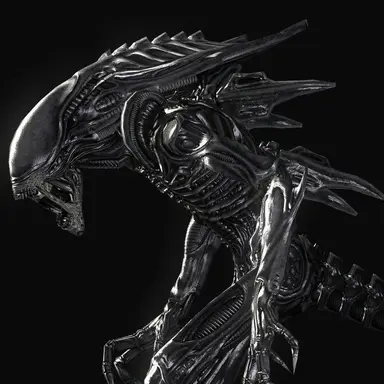 Profile image of Jerry