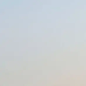 Profile image of 유강민