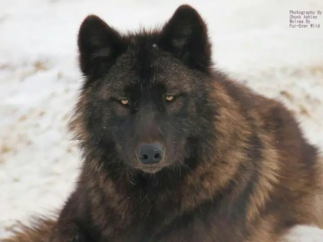 Profile image of Price