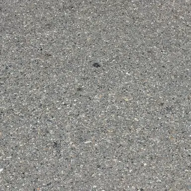 Profile image of 미토피아