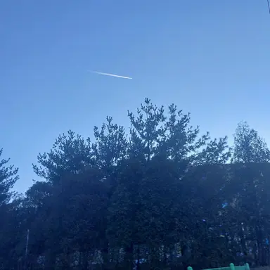 Profile image of 덕개