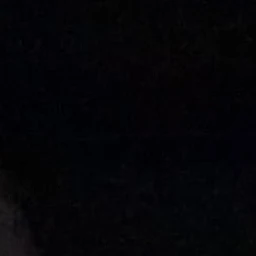 이나경