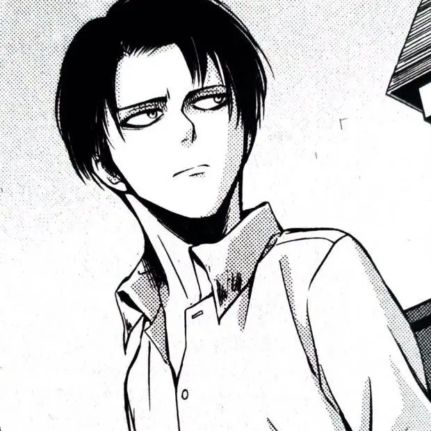 CurvedMall0429의 리바이 아커만