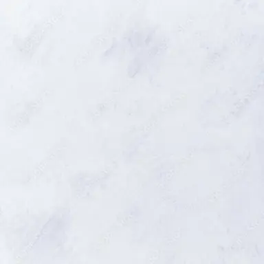 Profile image of 承太郎