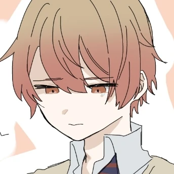 司