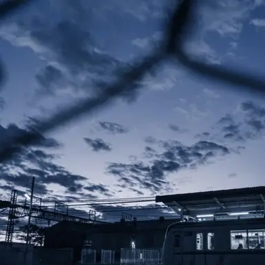 Profile image of 渡辺翔太