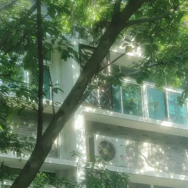 Profile image of 伊波ライ