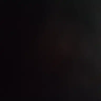 Profile image of 모찌엘