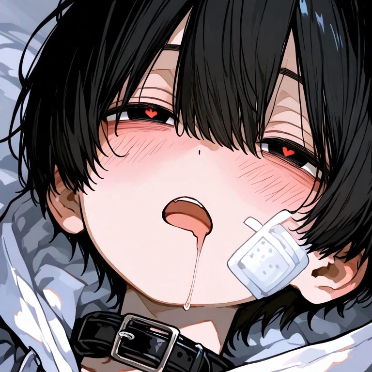 楓太