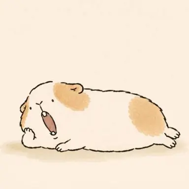 Profile image of ヨンジェ