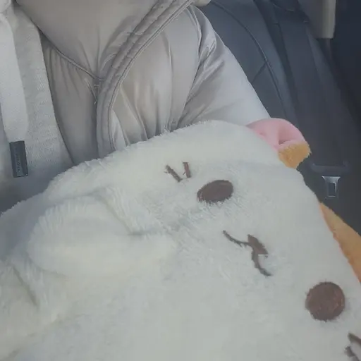WickedHusky6249의 원은서 조한비 김서현