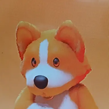 Profile image of 니모